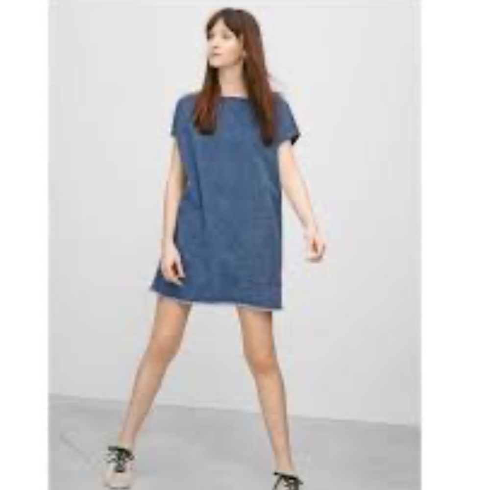 Wilfred Blue Denim Mini Dress